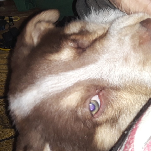 Meet your Posher, Hollaaaaa Hollaaaaa🤙🤙 I'm Tampa - Picture 7 of 16